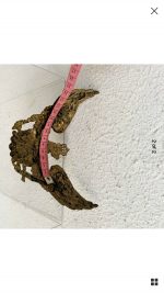 9BC8D98A-CACB-4818-BC75-7F0FFE376606.png