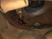 IMG_3773.jpeg