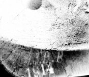 59FEAE8A-CDB2-4C58-B4AB-4726B985008D.jpeg