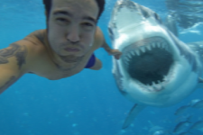 shark-selfie-460x307.png