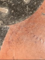 IMG_5467.jpeg