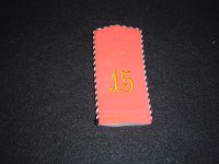D R 15  1 year vol.JPG