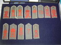 Infantry Feldgrau 2.JPG