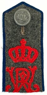 KIR145Chip.jpg