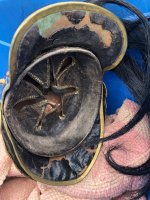 IMG_9407.jpg cropped.jpg