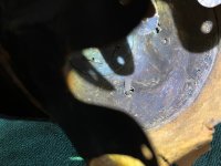 IMG_0814.jpeg
