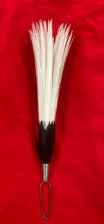 Plume 1.jpg