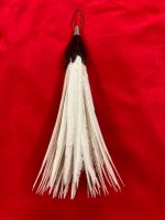 Plume 2.jpg