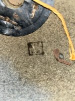 IMG_1252.jpeg