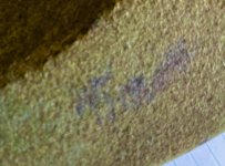 IMG_1255.jpeg