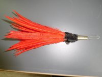 DSCN3555.JPG