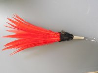 DSCN3557.JPG