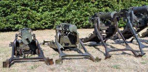 MG (49).JPG