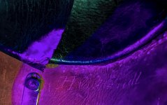B5E61178-7732-4AE8-AF5C-71FC7FDB00D0.jpeg