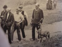 Aust Bergland dog handler.JPG