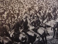 Aust Bergland mounted pol.JPG