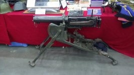 MG08.jpg