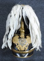 Gen_Plume_Front.jpg Gen_Plume_Front.jpg
