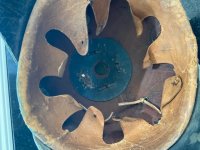 Picklehaube6.jpg
