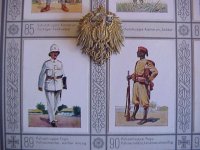 Pol Trupp Meister badge.JPG