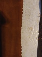 20230217_120459.jpg