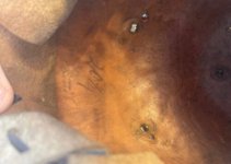 IMG_1976.jpeg