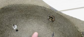 IMG_3995.jpeg