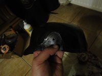 DSC06000.JPG