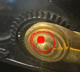 Cap.GIF