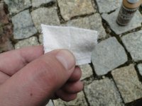 DSC06012.JPG