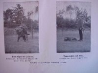 Pol dog manual pages.JPG