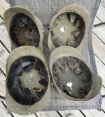 IMG_4109.jpeg