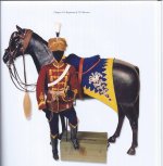 Parade Zaumzeug and Shabraque Hr. 15.jpg