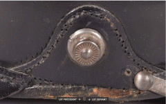 M15 repris.GIF M15 repris.GIF