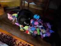 IMG_0638.jpeg