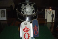 D R 25 Feldgrau.JPG