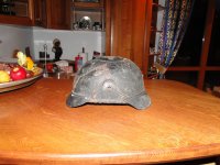 DSC06350.JPG
