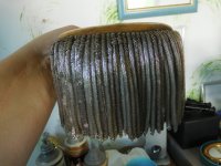 DSCN4309.JPG