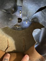 IMG_1401.jpeg