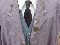 UCV Lt. Col insignia.JPG