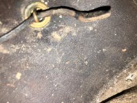 IMG_3922.jpeg