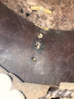 IMG_3925.jpeg