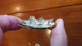 DSC_9059_compress44.jpg