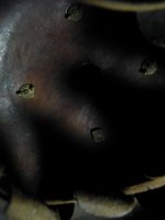 101_2517.JPG
