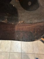 IMG_5990.jpeg