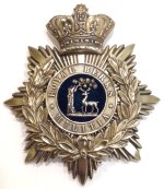 Helmet Plate Royal Berks Militia 1.jpg