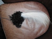 DSCN4634.JPG