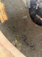 IMG_3903.jpeg