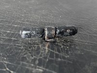 IMG_3928.jpeg