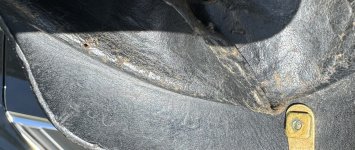 IMG_6372.jpeg